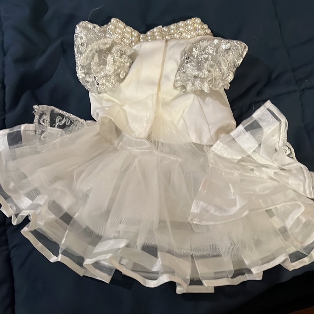 Wedding dress for small dog - Picture 2 of 3